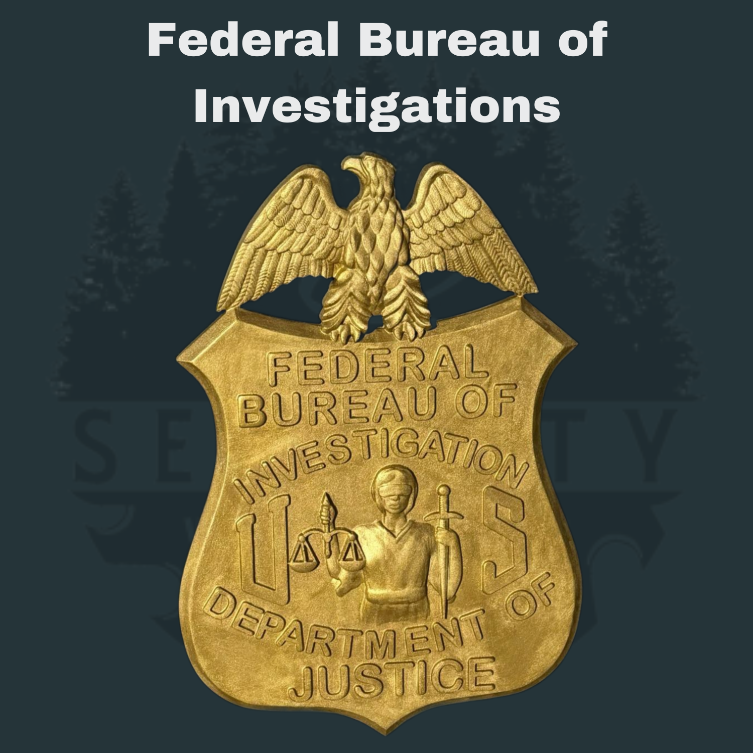 Federal Bureau of Investigations