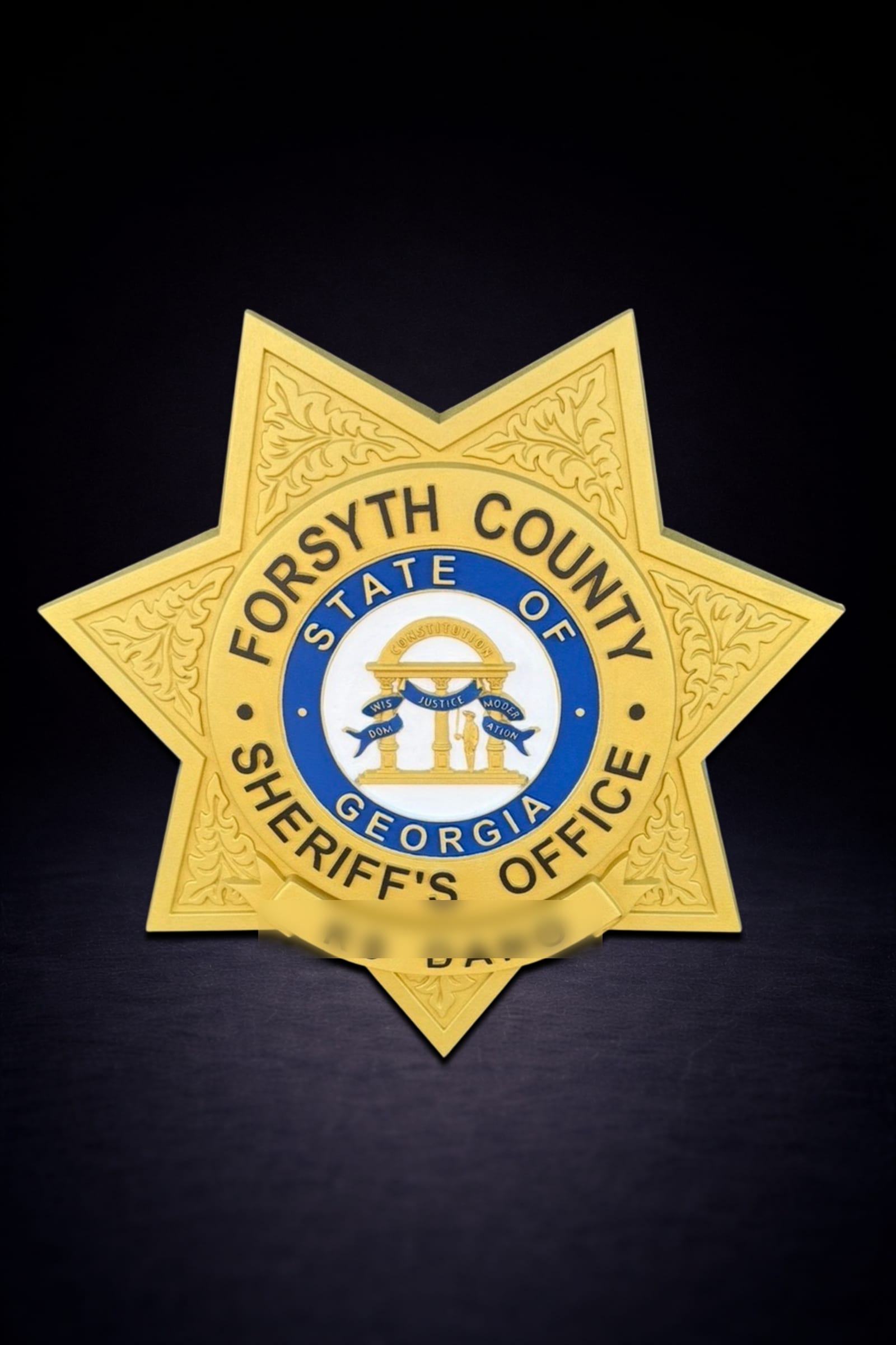 Forsyth County Sheriff's Office — 3D Carved Hardwood Badge Plaque ...